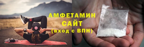 трава Няндома