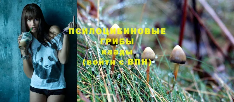 Псилоцибиновые грибы Magic Shrooms  Беломорск 